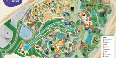 Harta Dubai zoo